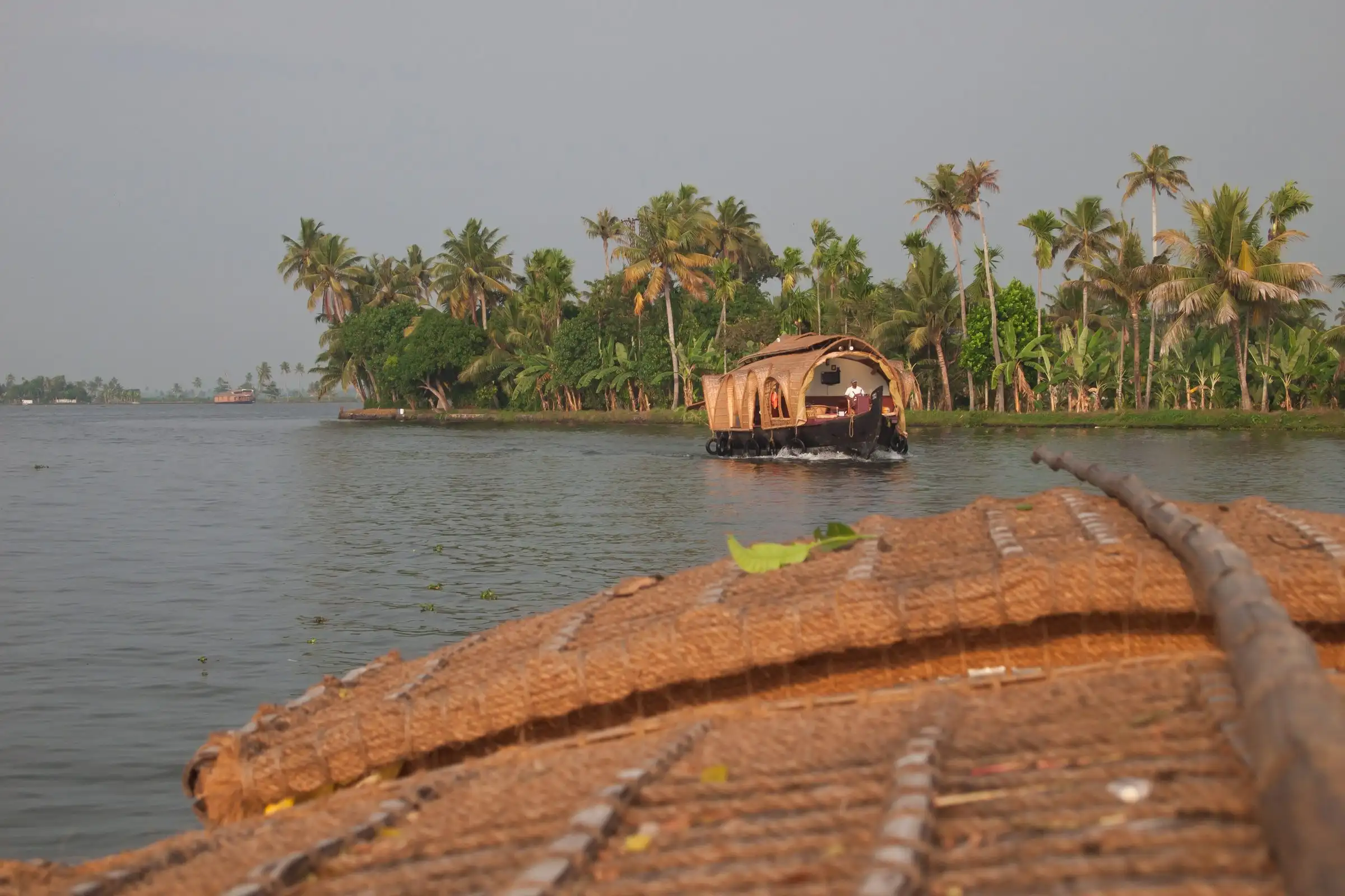 A houseboat with a woven roof on calm backwaters lined with coconut palms