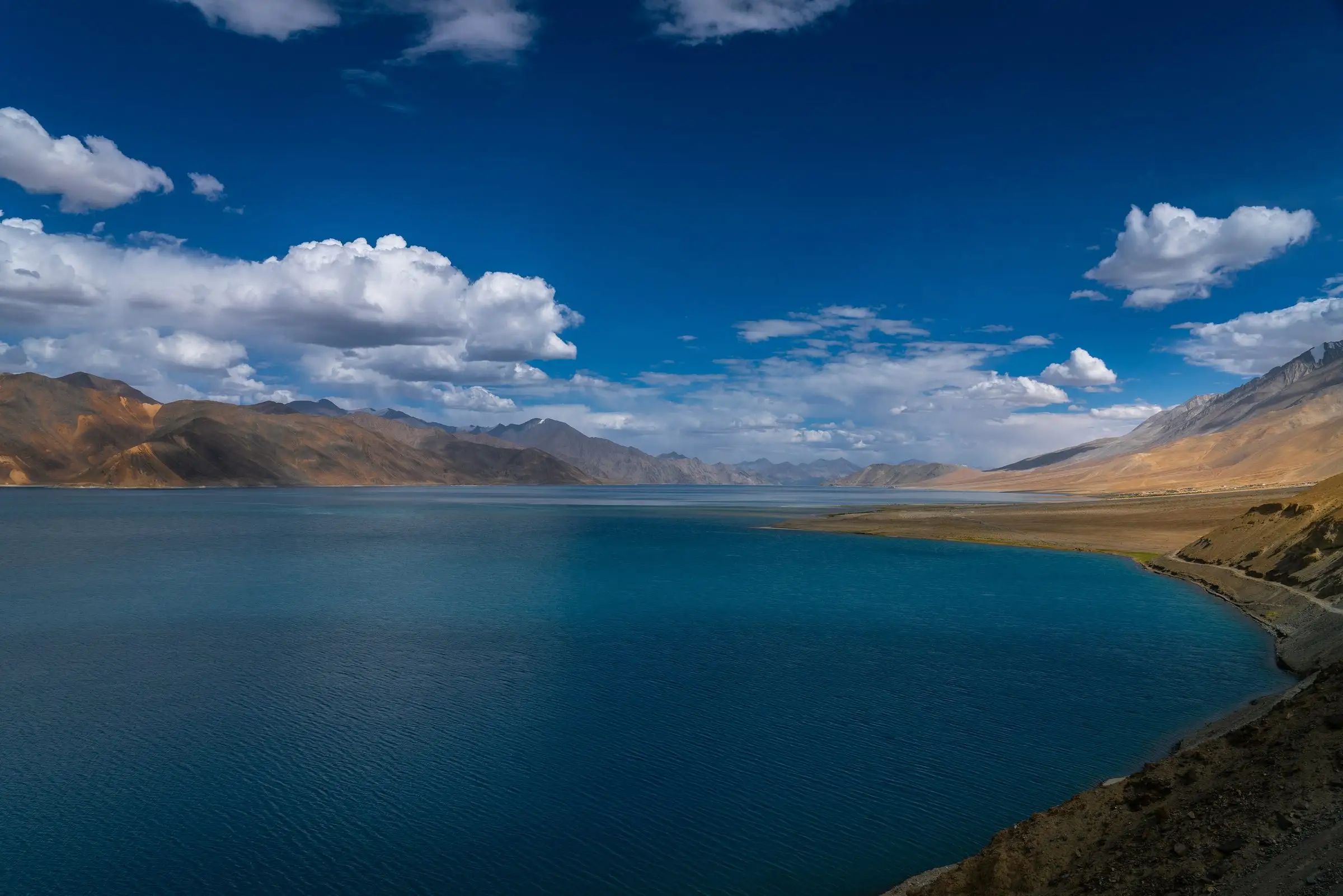 The deep blue curve of Pangong Lake between bare brown mountains